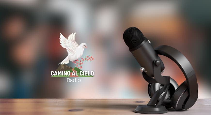 Igleisa Evangelica Apostoles y Profetas - Servicios en vivo